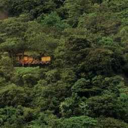 Vythiri Resort