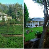 Parisons Plantation Experiences by Abad