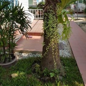 Vipha Ville Resort