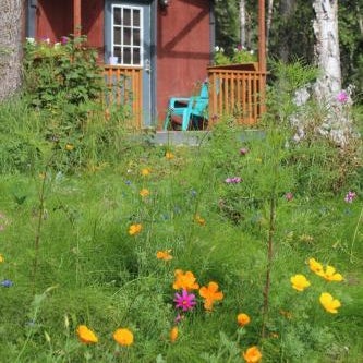 DFA Cabin Rentals Thumbnail