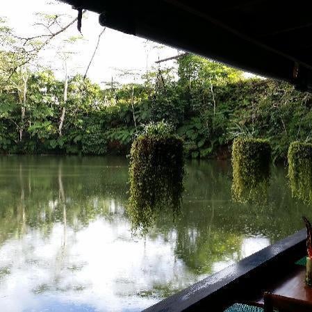 Rainforest Eco Lodge Thumbnail