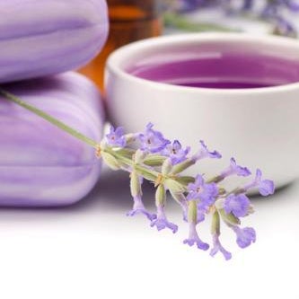 Hotel Canaan - Fattal Limited Edition Thumbnail