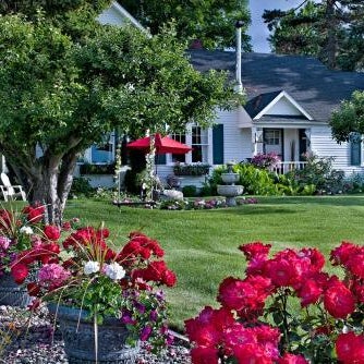 Cozy Rose Inn Thumbnail