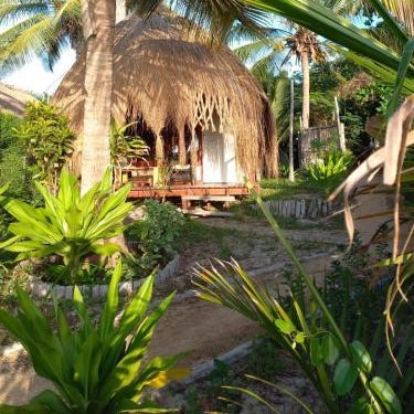 Baobab Beach Vilanculos Thumbnail