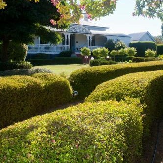 Whiskey Gully Cottages Thumbnail