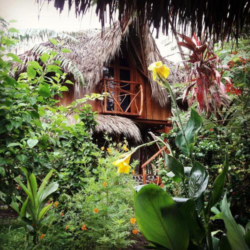 La Urraca Loca Hostel Thumbnail