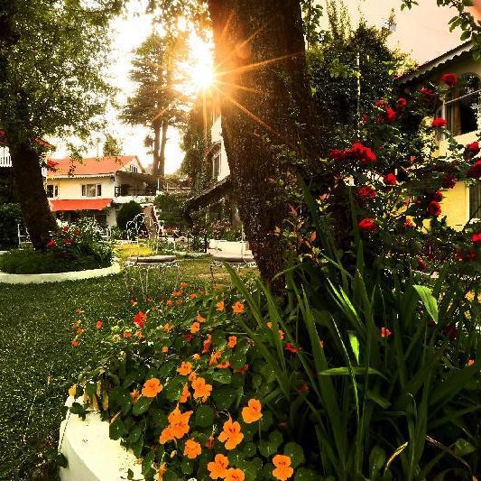 Alps Resort Dalhousie