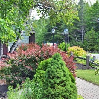 Hungry Trout Resort Thumbnail