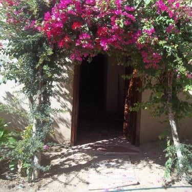 Nour El Gourna Thumbnail