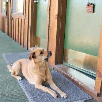 The Woodsman Country Lodge Motel Thumbnail