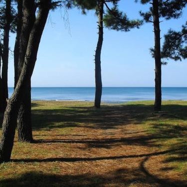 Green House Thumbnail