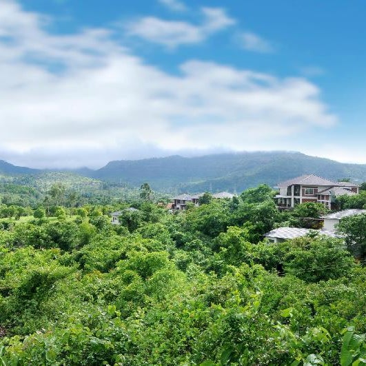 Forest Escapes Koyna