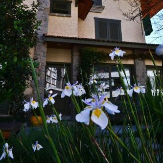 Hotel Solar d'Izabel