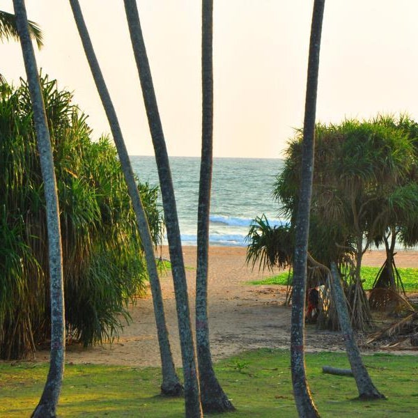 Ocean View Hotel