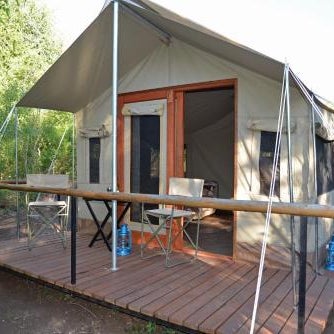 The Wild Olive Tree Camp Thumbnail