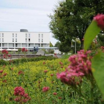 DORMERO Hotel Weingarten