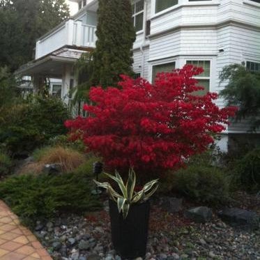 Crown Mansion Boutique Hotel & Villas Thumbnail