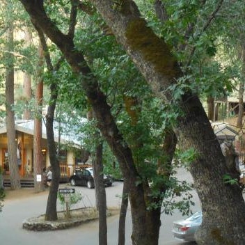 Yosemite Bug Rustic Mountain Resort Thumbnail