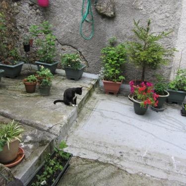 La Maison de Natasha
