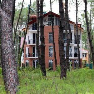 GiNa Shekvetili Thumbnail