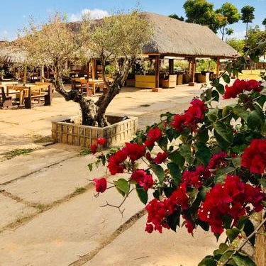 Le Chat'o Park Hotel Ivato Airport NAVETTE GRATUITE H24