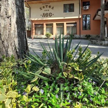 Hotel Les