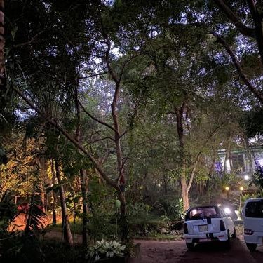 Green House Resort