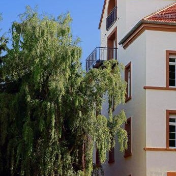 Boutique Suites and Residences Heidelberg- Alte Zigarrenmanufaktur Thumbnail