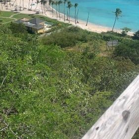 The Liming Bequia Thumbnail