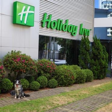 Holiday Inn Belo Horizonte Savassi By IHG