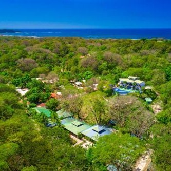 Jungles Edge Hotel, Jiu Jitsu, Muay Thai Retreat Center Thumbnail