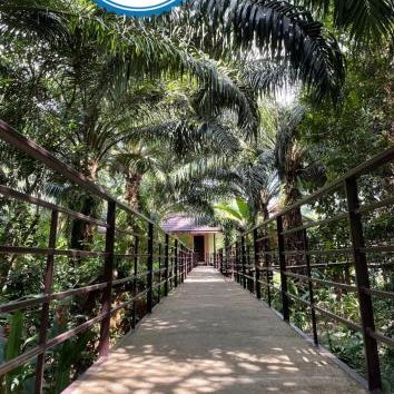 Khaosok Good view Resort - SHA PLUS