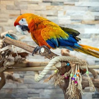 Mahalo Diamond Beach Resort Thumbnail