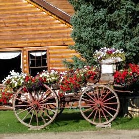 Daven Haven Lodge & Cabins Thumbnail