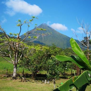 Tío Felix Eco Lodge Thumbnail