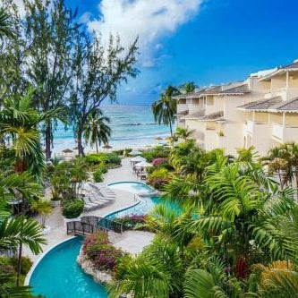Bougainvillea Barbados Thumbnail