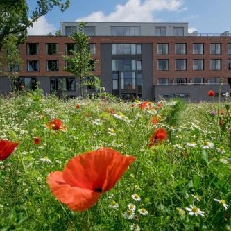 Hotel FREIgeist Einbeck - A Member of Design Hotels