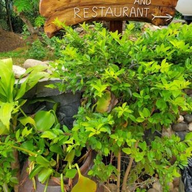 Mai Chau Xanh Bungalow