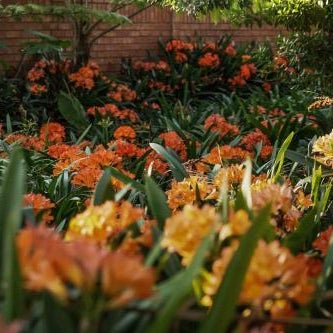 Hudson House Thumbnail