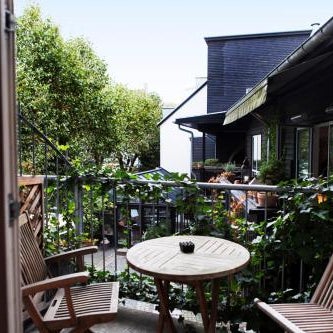 66 Guldsmeden Thumbnail