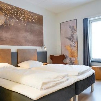 City Hotel Nattergalen Thumbnail