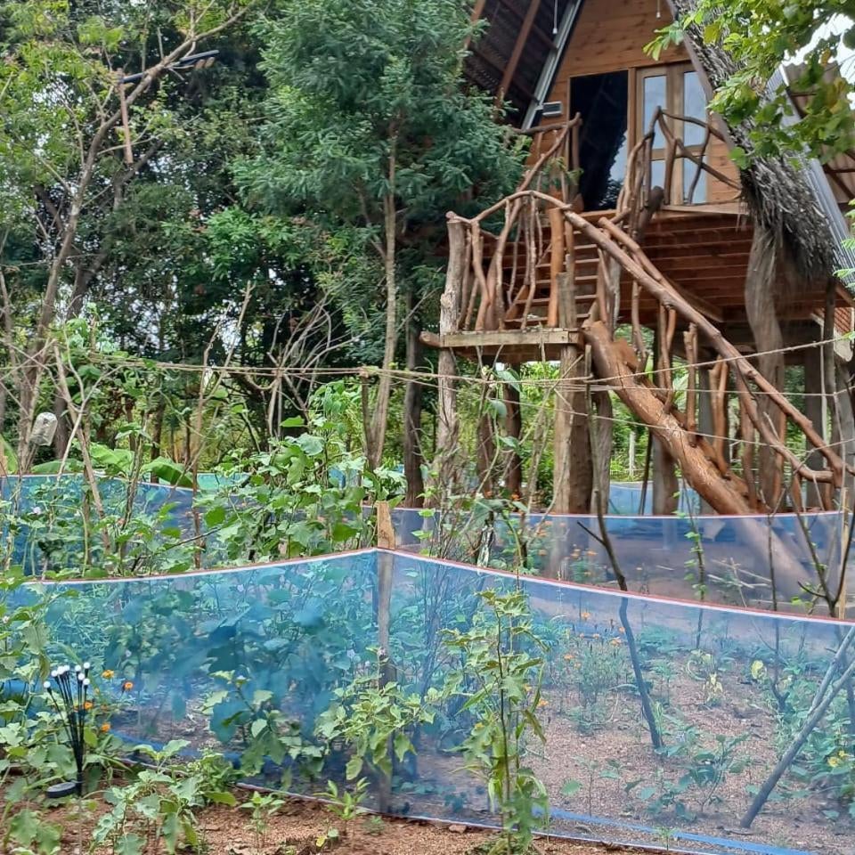 Habarana Chena Hut - Air conditioning Private Cabana with Balcony
