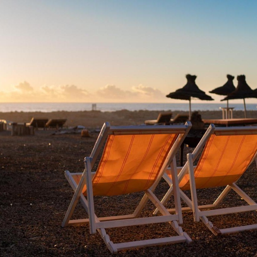 La Mouette et les Dromadaires Thumbnail