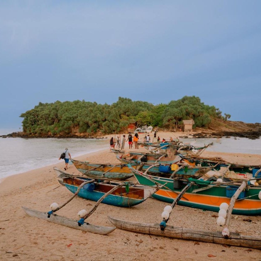 The ransi House Thumbnail