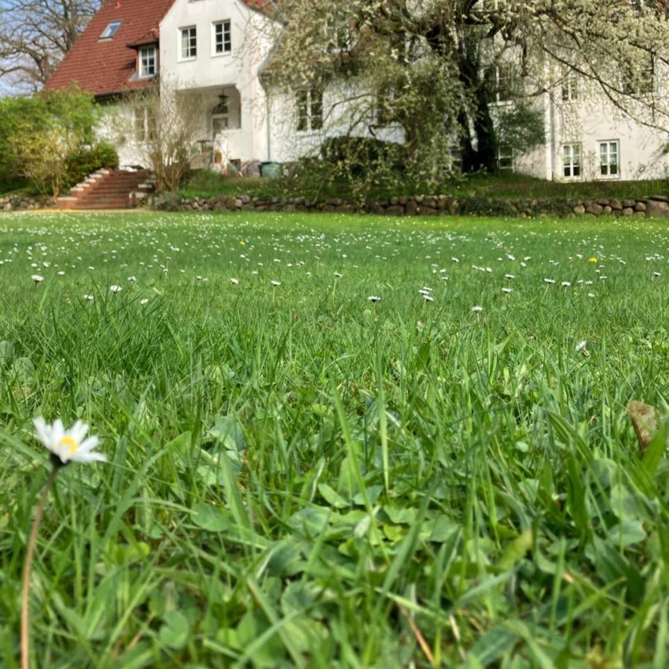 Landhaus Hohe Buchen