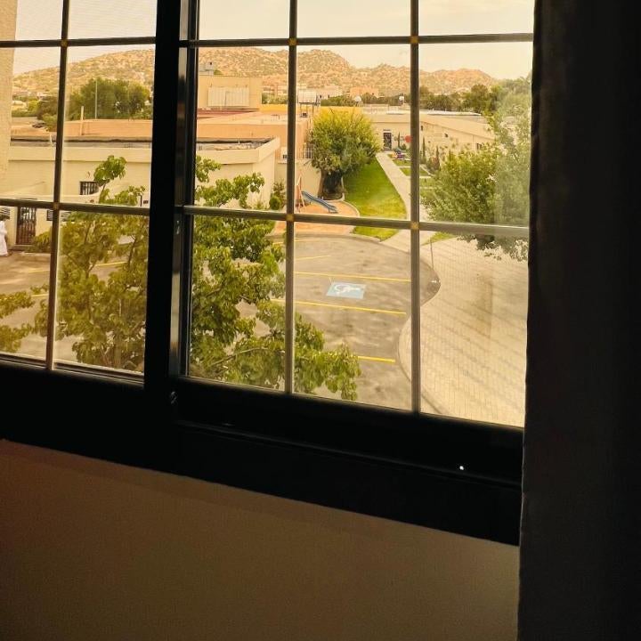 بلوم قاردن - Plum Garden Thumbnail