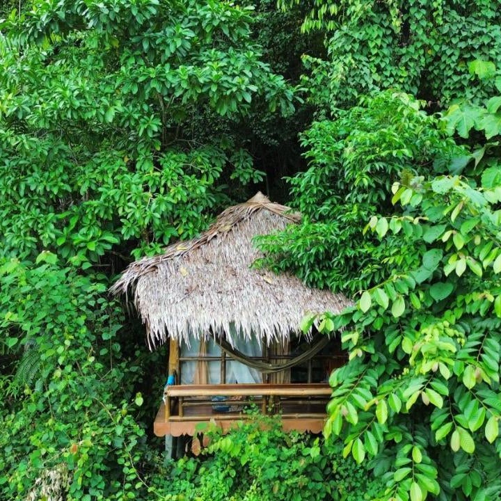 TheJungleGuide - Lodges & Treks
