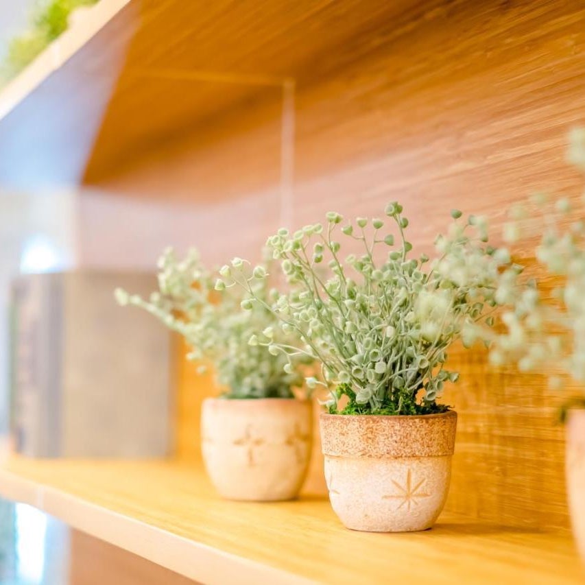 Bridge Hotel Thumbnail