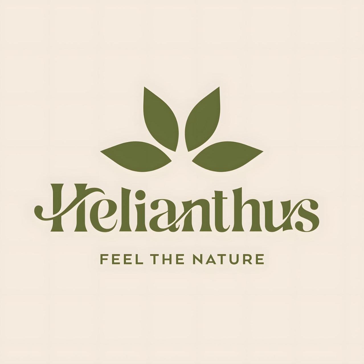 Helianthus