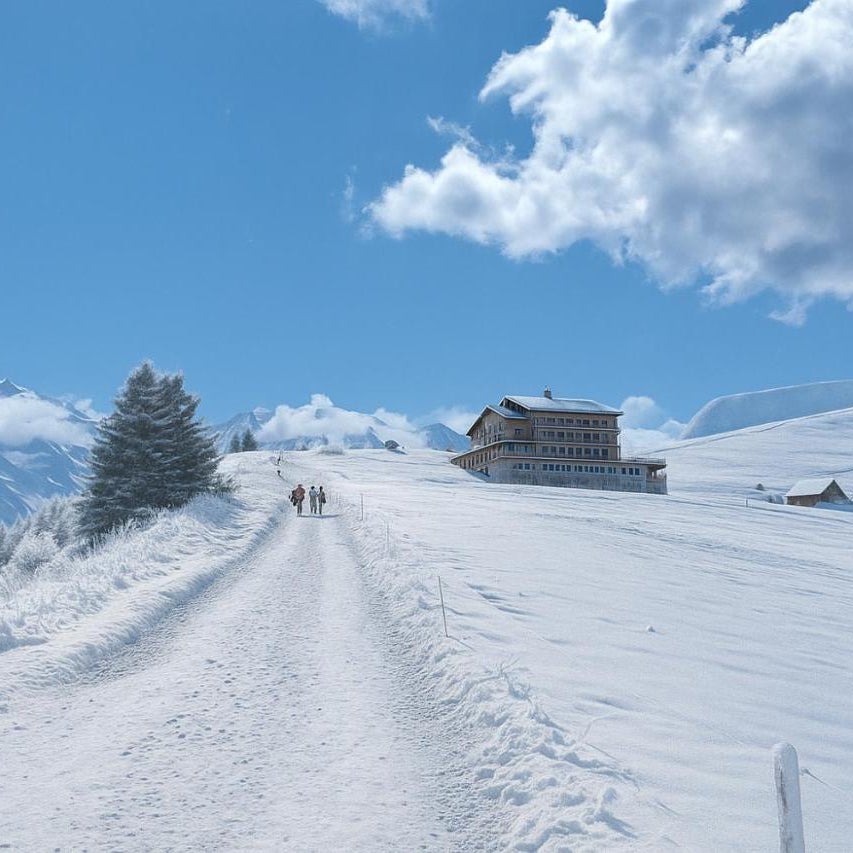 Le Refuge Chez La Tante - Mont d'Arbois Ski-in Ski-out